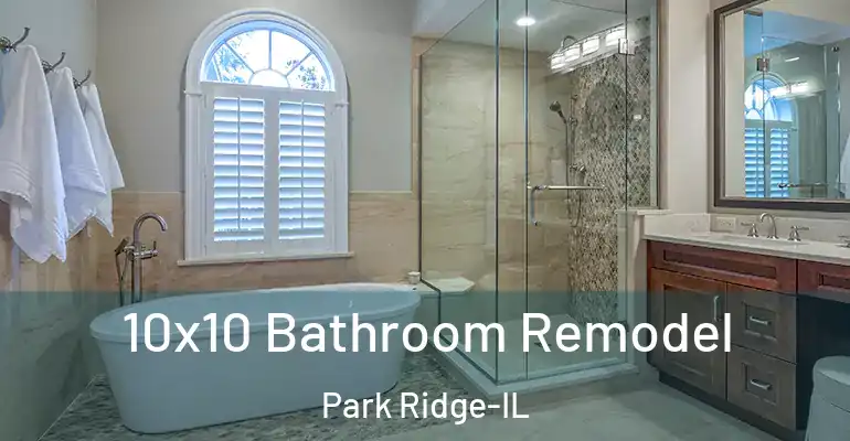 inner Bathroom imggen 10x10 Bathroom Remodel Park Ridge-IL