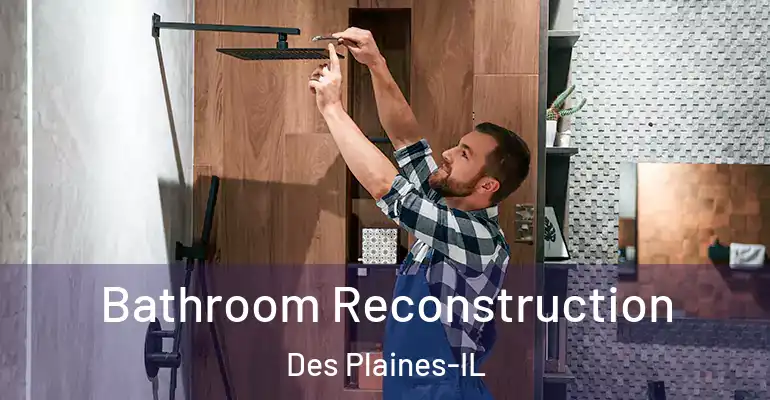 inner Bathroom imggen Bathroom Reconstruction Des Plaines-IL