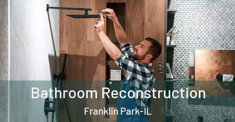 inner Bathroom imggen Bathroom Reconstruction Franklin Park-IL