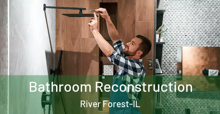 inner Bathroom imggen Bathroom Reconstruction River Forest-IL