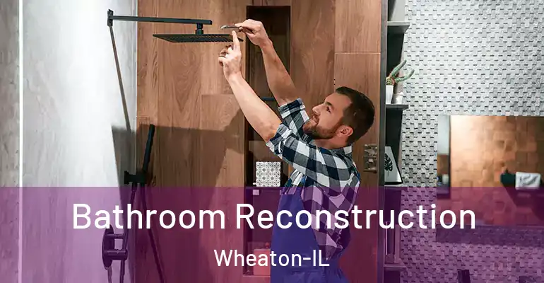 inner Bathroom imggen Bathroom Reconstruction Wheaton-IL