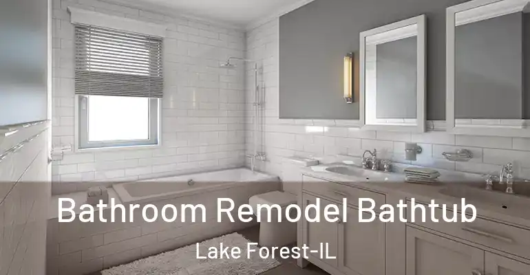 inner Bathroom imggen Bathroom Remodel Bathtub Lake Forest-IL