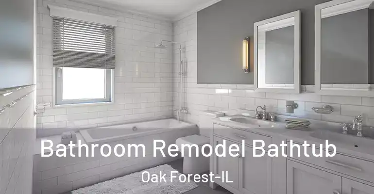 inner Bathroom imggen Bathroom Remodel Bathtub Oak Forest-IL