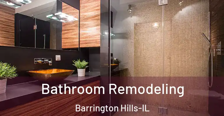 inner Bathroom imggen Bathroom Remodeling Barrington Hills-IL