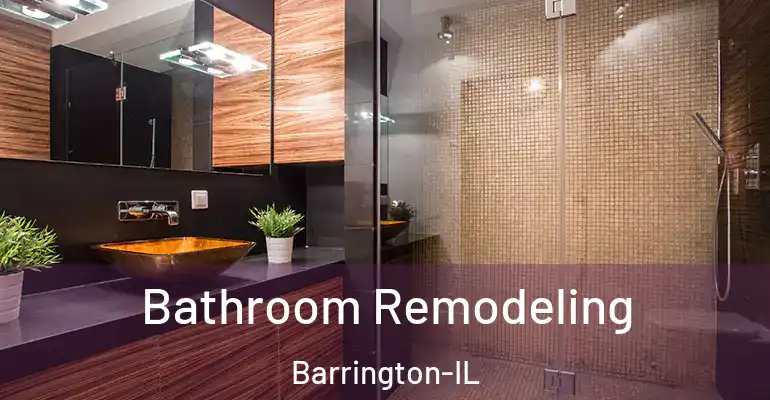inner Bathroom imggen Bathroom Remodeling Barrington-IL