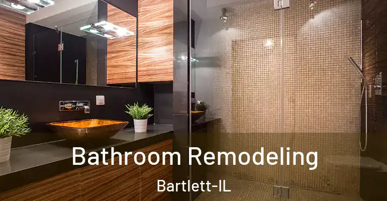 inner Bathroom imggen Bathroom Remodeling Bartlett-IL