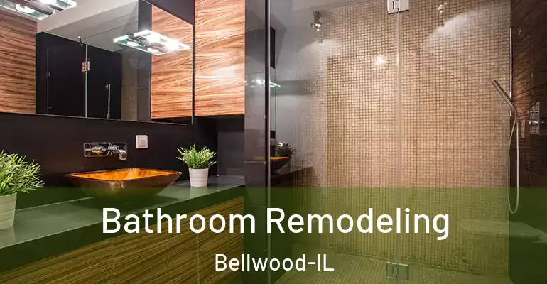 inner Bathroom imggen Bathroom Remodeling Bellwood-IL