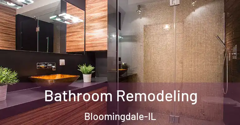 inner Bathroom imggen Bathroom Remodeling Bloomingdale-IL