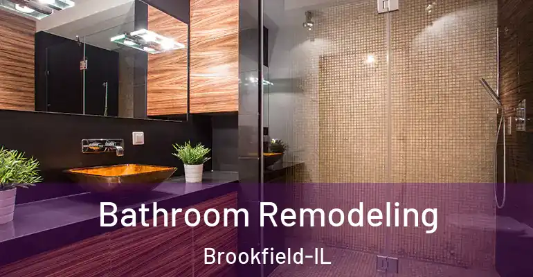 inner Bathroom imggen Bathroom Remodeling Brookfield-IL