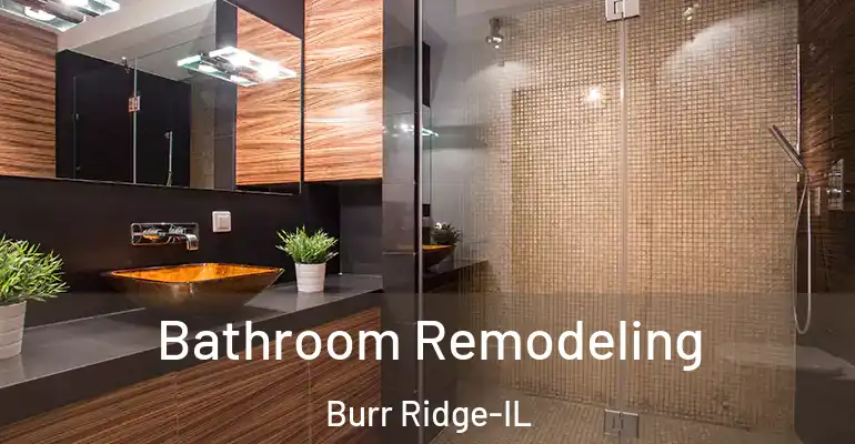 inner Bathroom imggen Bathroom Remodeling Burr Ridge-IL