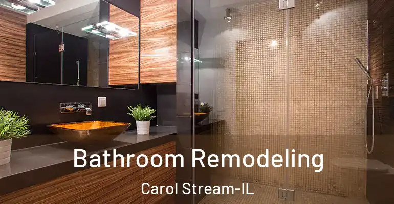 inner Bathroom imggen Bathroom Remodeling Carol Stream-IL