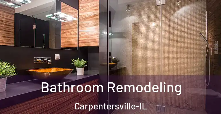 inner Bathroom imggen Bathroom Remodeling Carpentersville-IL