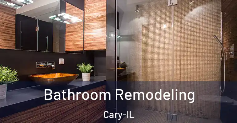 inner Bathroom imggen Bathroom Remodeling Cary-IL