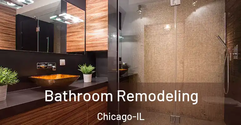 inner Bathroom imggen Bathroom Remodeling Chicago-IL