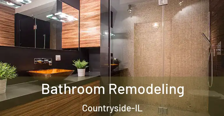 inner Bathroom imggen Bathroom Remodeling Countryside-IL