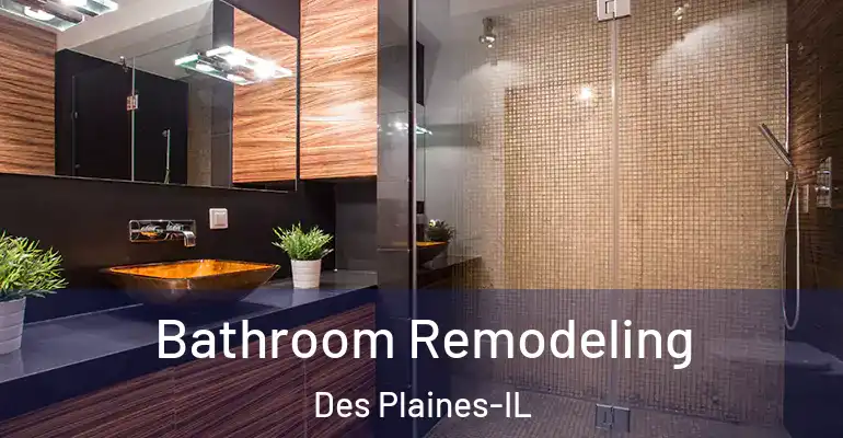inner Bathroom imggen Bathroom Remodeling Des Plaines-IL