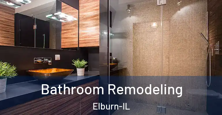 inner Bathroom imggen Bathroom Remodeling Elburn-IL