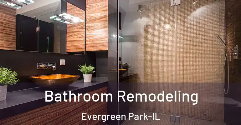 inner Bathroom imggen Bathroom Remodeling Evergreen Park-IL