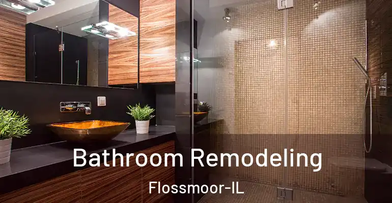 inner Bathroom imggen Bathroom Remodeling Flossmoor-IL