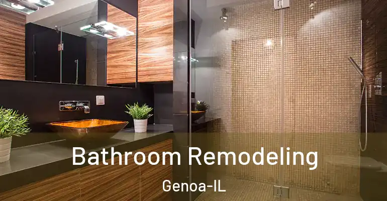 inner Bathroom imggen Bathroom Remodeling Genoa-IL