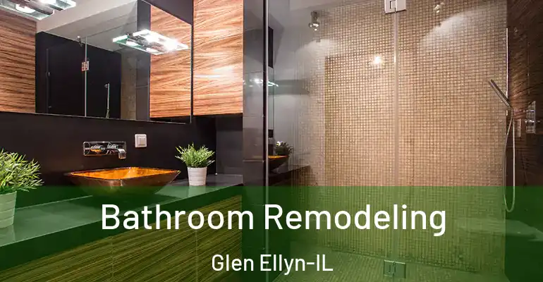 inner Bathroom imggen Bathroom Remodeling Glen Ellyn-IL