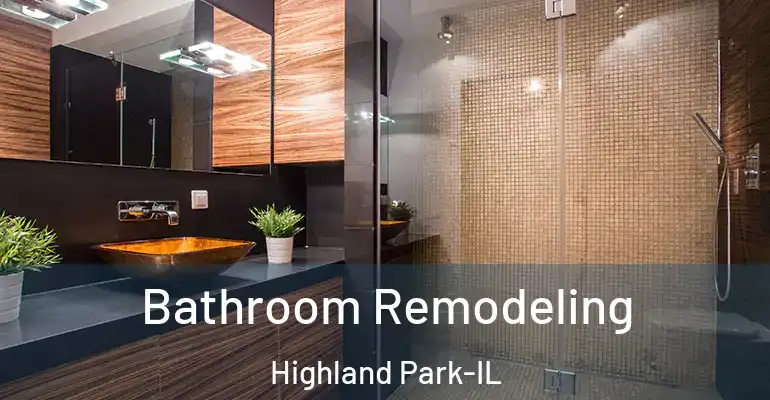 inner Bathroom imggen Bathroom Remodeling Highland Park-IL
