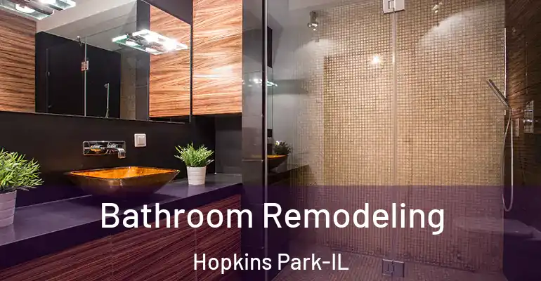inner Bathroom imggen Bathroom Remodeling Hopkins Park-IL