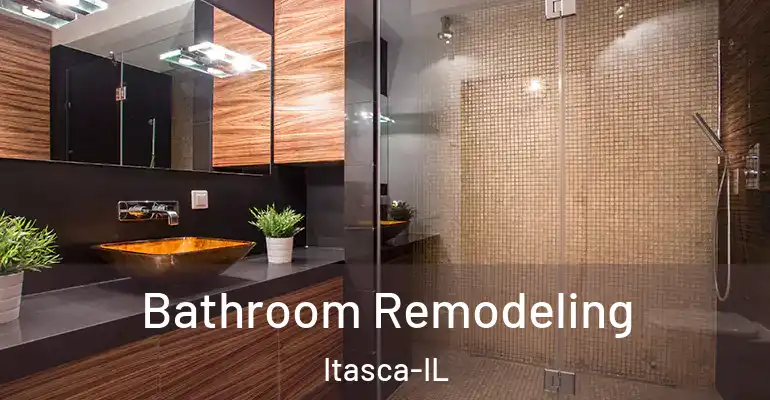 inner Bathroom imggen Bathroom Remodeling Itasca-IL
