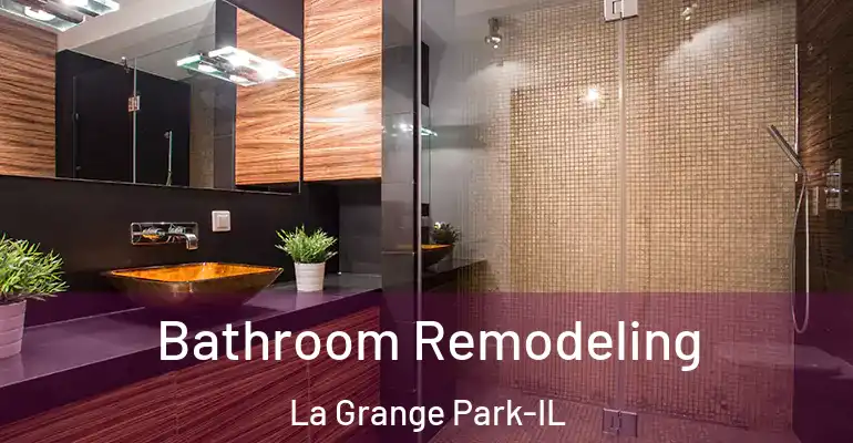 inner Bathroom imggen Bathroom Remodeling La Grange Park-IL