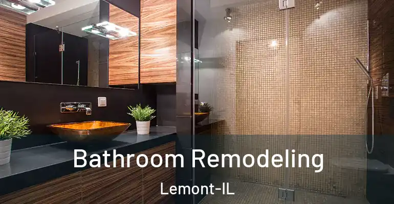 inner Bathroom imggen Bathroom Remodeling Lemont-IL