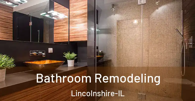 inner Bathroom imggen Bathroom Remodeling Lincolnshire-IL