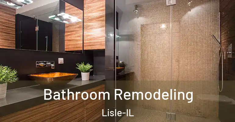 inner Bathroom imggen Bathroom Remodeling Lisle-IL