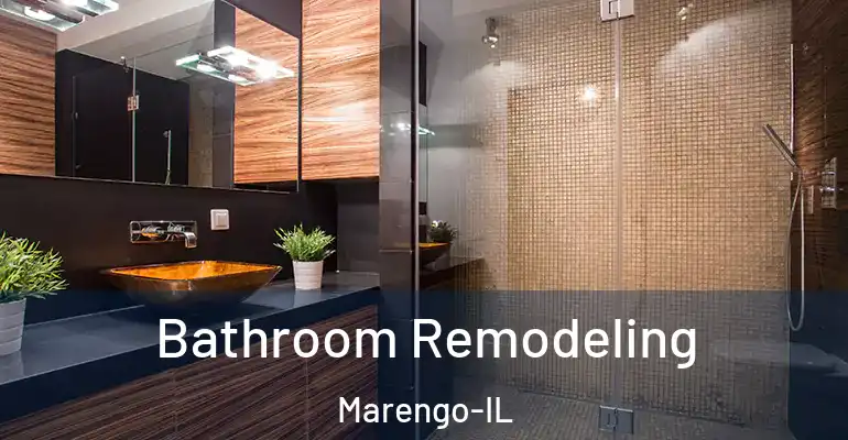 inner Bathroom imggen Bathroom Remodeling Marengo-IL