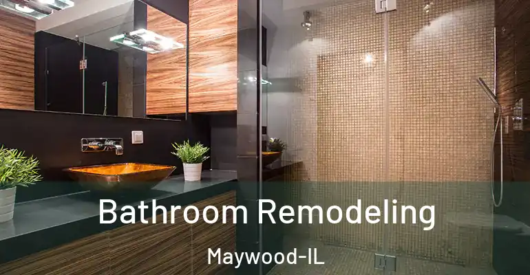 inner Bathroom imggen Bathroom Remodeling Maywood-IL