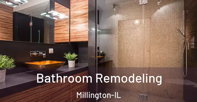 inner Bathroom imggen Bathroom Remodeling Millington-IL