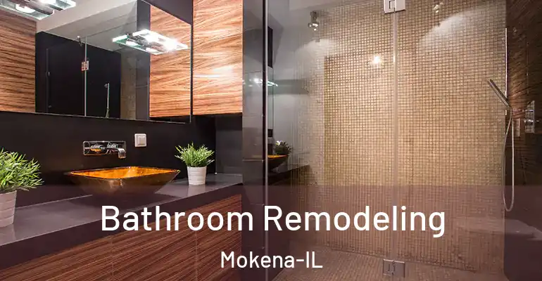 inner Bathroom imggen Bathroom Remodeling Mokena-IL
