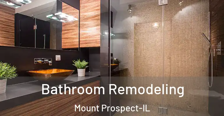inner Bathroom imggen Bathroom Remodeling Mount Prospect-IL