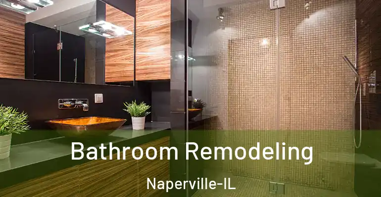 inner Bathroom imggen Bathroom Remodeling Naperville-IL