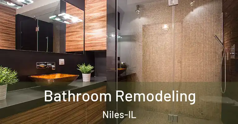 inner Bathroom imggen Bathroom Remodeling Niles-IL