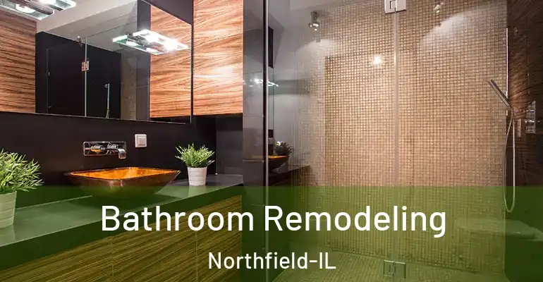 inner Bathroom imggen Bathroom Remodeling Northfield-IL