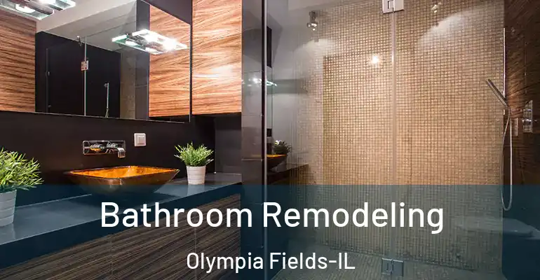 inner Bathroom imggen Bathroom Remodeling Olympia Fields-IL