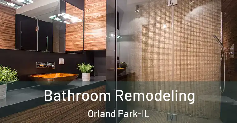 inner Bathroom imggen Bathroom Remodeling Orland Park-IL