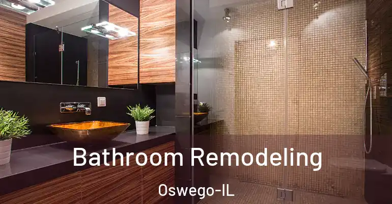 inner Bathroom imggen Bathroom Remodeling Oswego-IL
