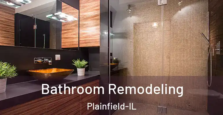 inner Bathroom imggen Bathroom Remodeling Plainfield-IL