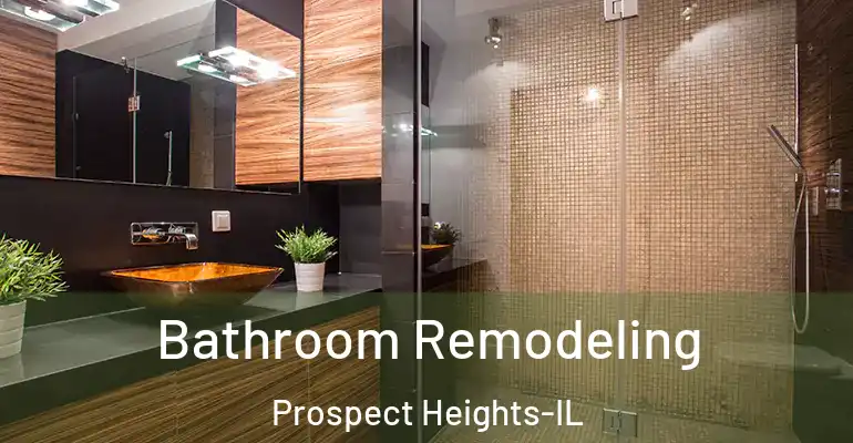 inner Bathroom imggen Bathroom Remodeling Prospect Heights-IL