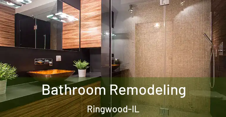inner Bathroom imggen Bathroom Remodeling Ringwood-IL