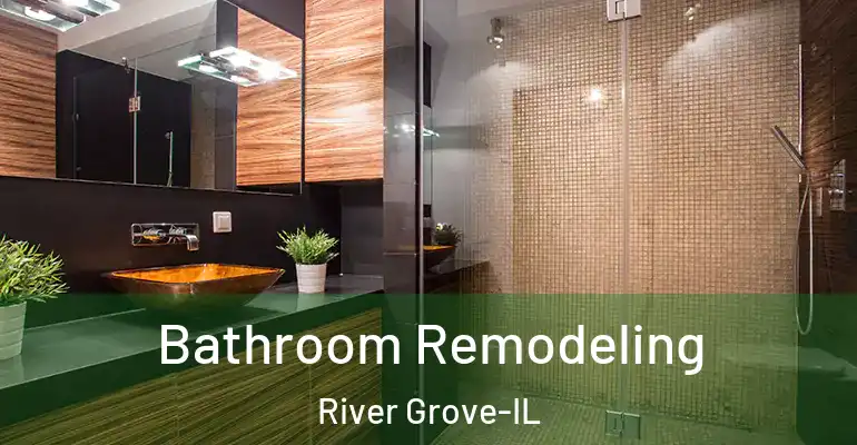inner Bathroom imggen Bathroom Remodeling River Grove-IL