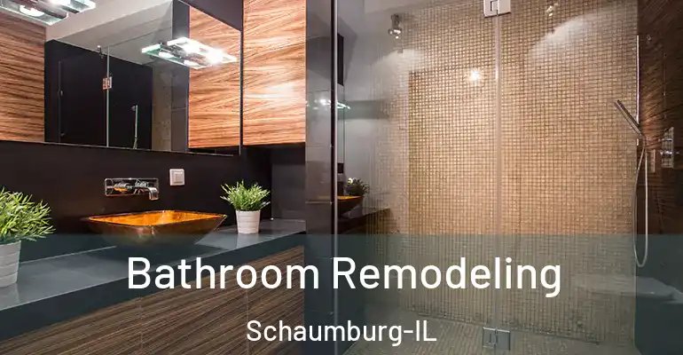 inner Bathroom imggen Bathroom Remodeling Schaumburg-IL