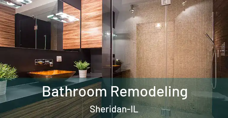 inner Bathroom imggen Bathroom Remodeling Sheridan-IL