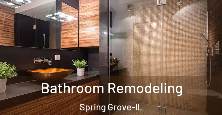 inner Bathroom imggen Bathroom Remodeling Spring Grove-IL